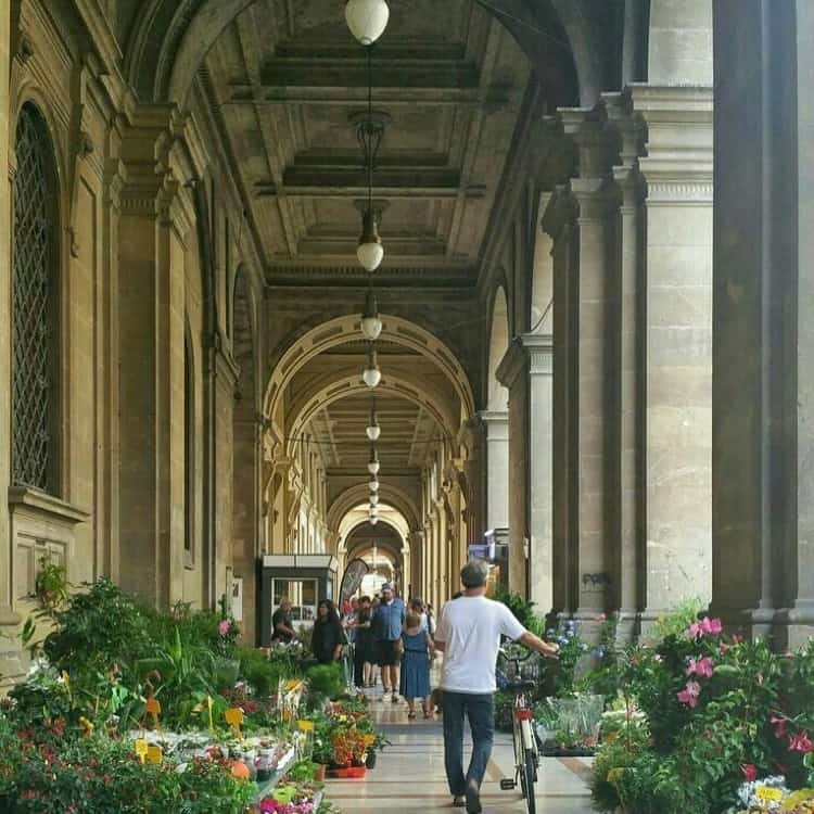 flower market piazza repubblica florence