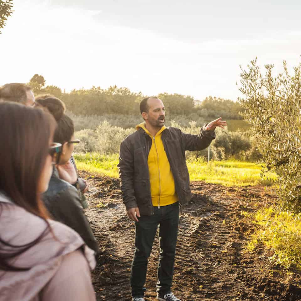 Vigneti della campagna romana e degustazioni di vino