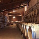 From Florence: Chianti Half-Day Afternoon Tour