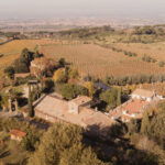 wine tasting frascati with pick up in rome